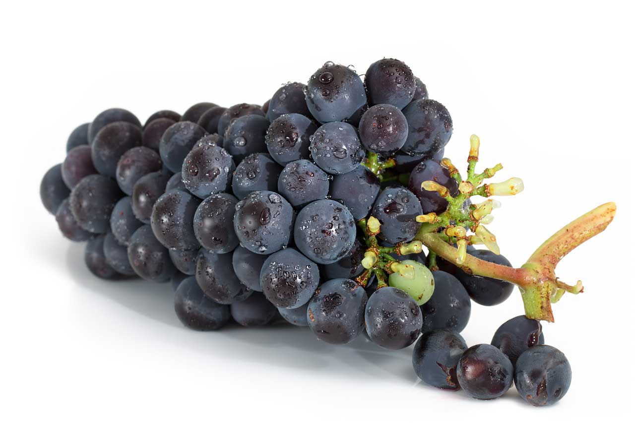 A photo of a bunch of grapes on an isolated white background